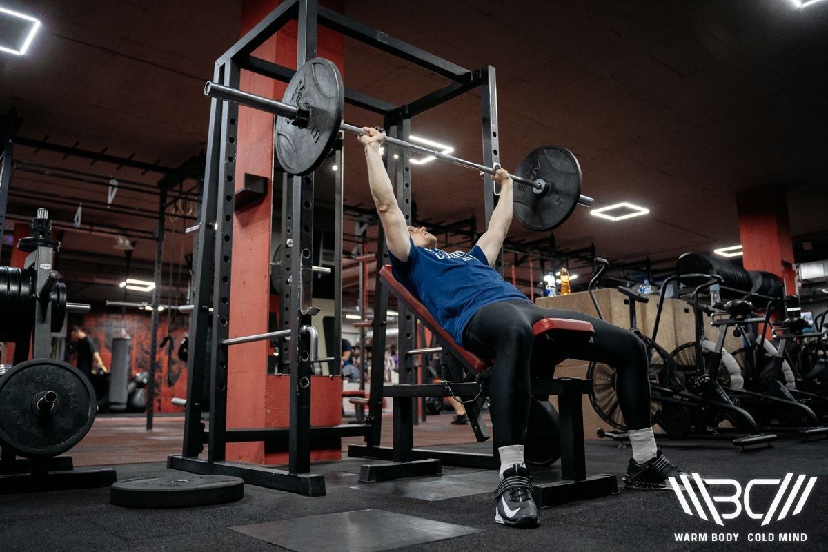 Barbell vs Dumbbell Shoulder Press The Ultimate Comparison